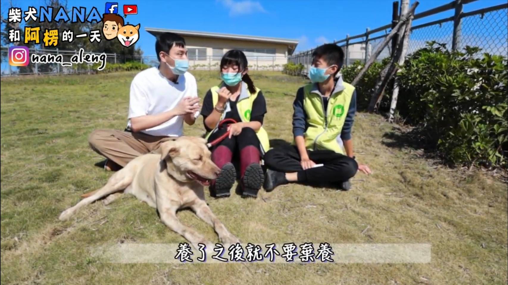 殘忍浪浪收容所2 控特定協會包攬犬貓救援動保人士 有人利用志工愛心賺錢